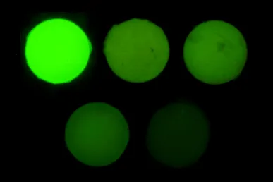 Amostras fluorescência